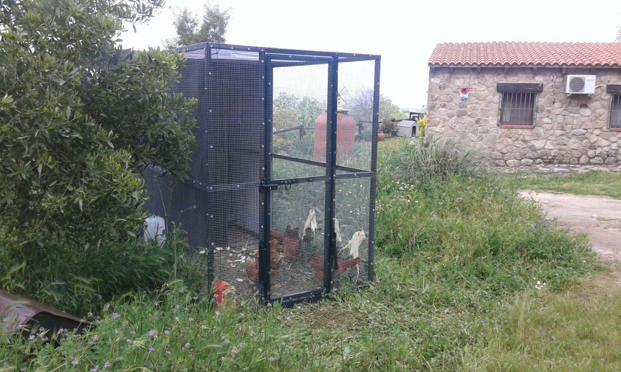 Montánchez El Majanoゲストハウス エクステリア 写真